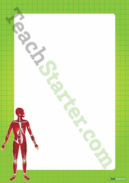 Human Body Muscular System Border - Word Template teaching resource
