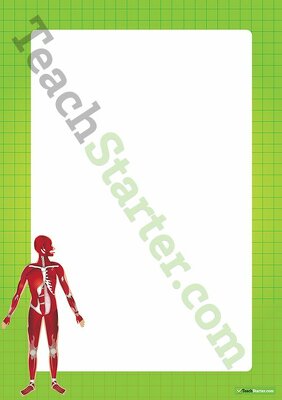 人体肌肉系统边界字模板教学资源