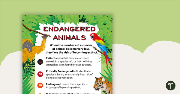 Endangered Animals Classification Poster teaching resource
