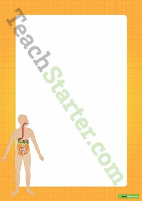 Human Body Digestive System Border - Word Template teaching resource