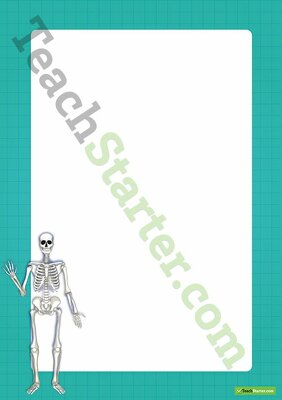 Human Body Skeletal System Border - Word Template teaching resource