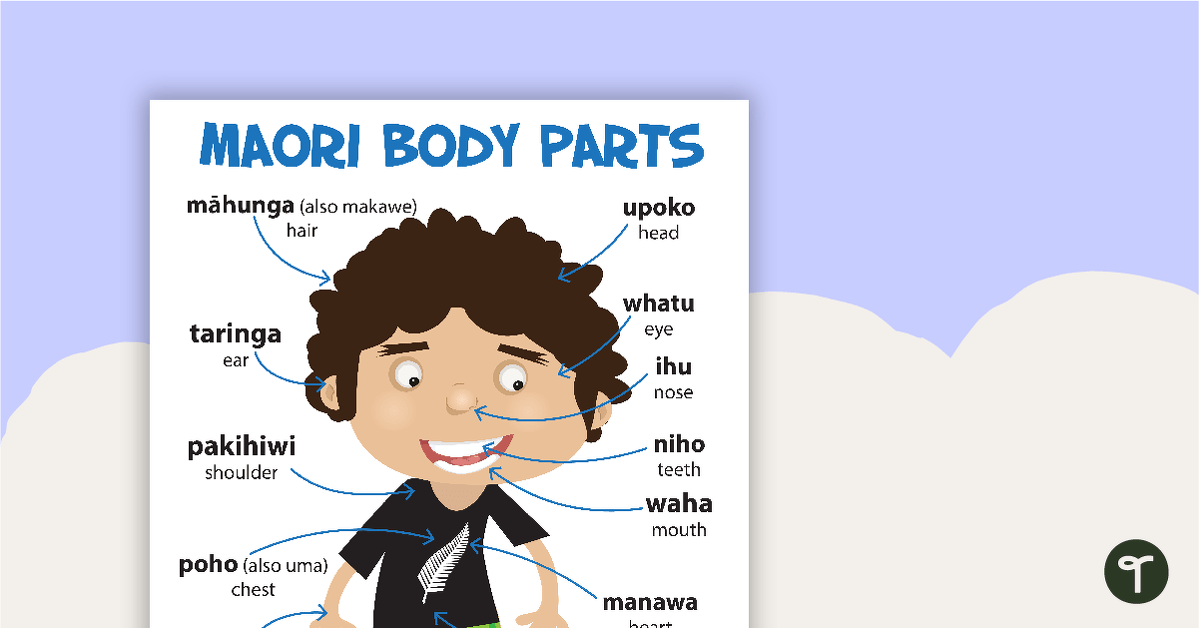 Body Parts in Maori Poster teaching resource