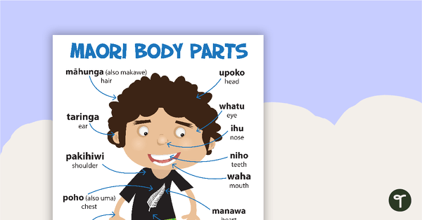 Go to Body Parts in Maori Poster teaching resource