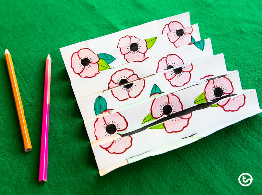 Poppy and Soldier Agamograph teaching resource