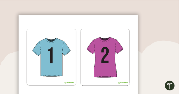 1 to 20 Clothesline Number Cards teaching resource