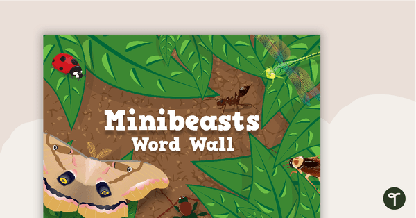 Go to Minibeasts - Word Wall teaching resource