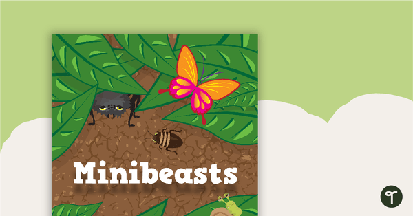 Minibeasts - Title Poster teaching resource