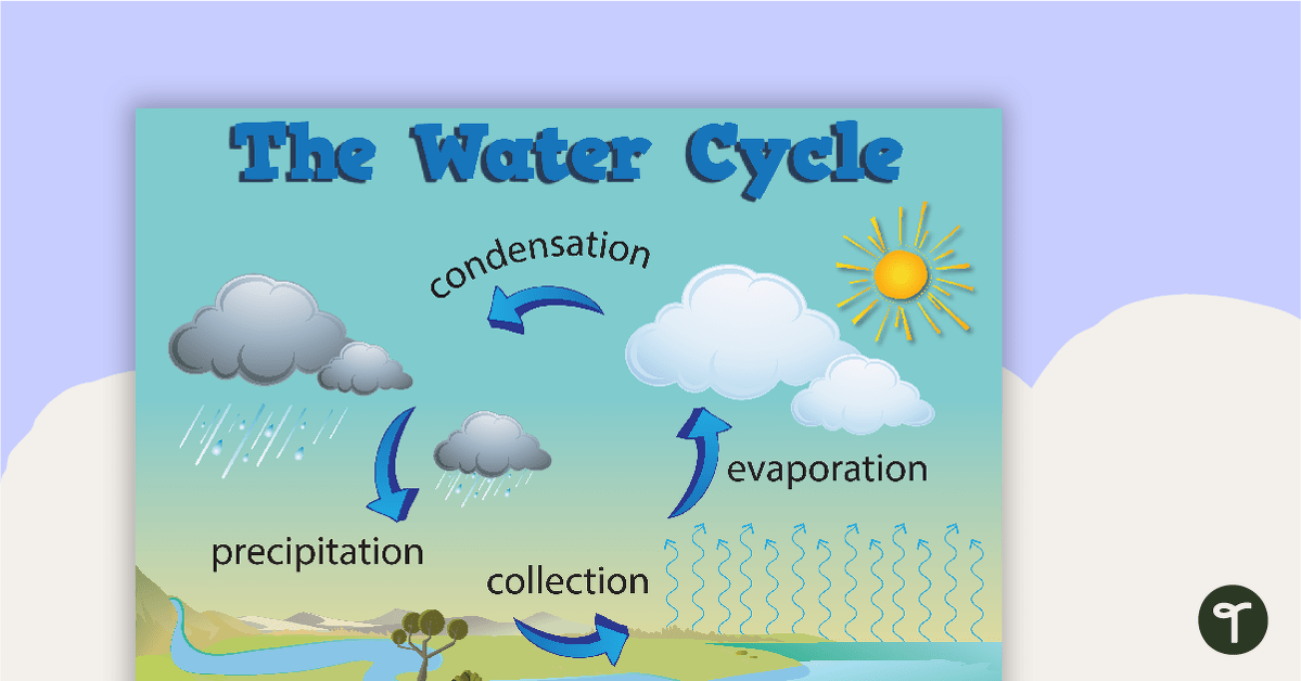 The Water Cycle Poster - V2 teaching resource