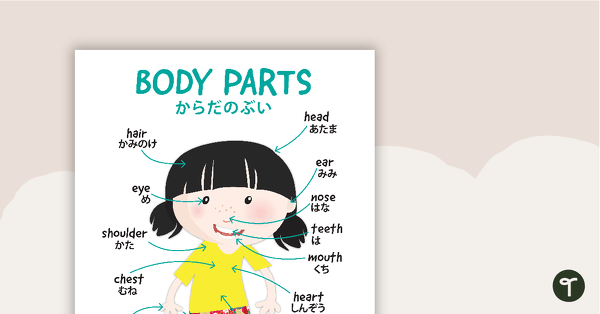 Hiragana Body Parts Poster teaching resource