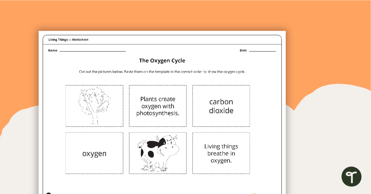 The Oxygen Cycle - Worksheet teaching resource