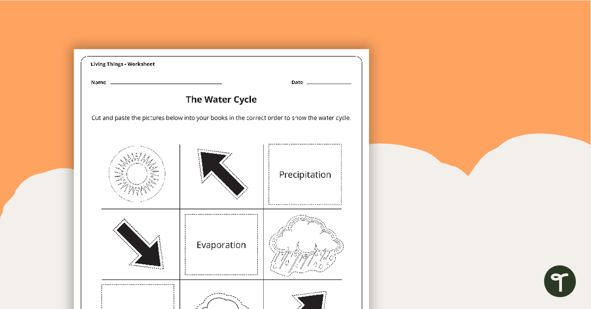 The Water Cycle - Worksheet teaching resource