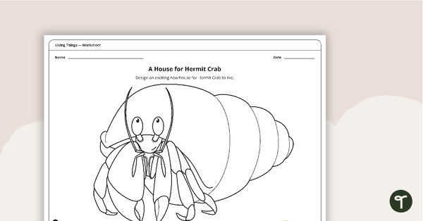 A House for Hermit Crab - Worksheet teaching resource