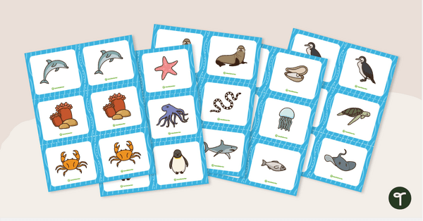 Underwater Match-up Cards teaching resource