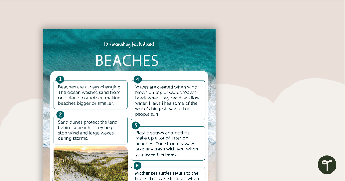 10 Fascinating Facts About Beaches – Comprehension Worksheet teaching resource