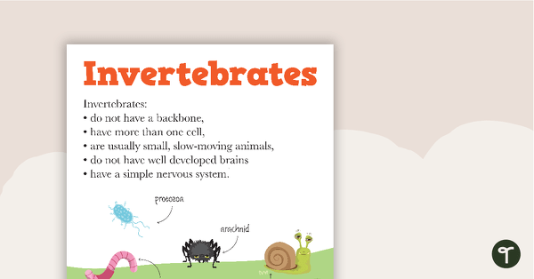 Vertebrates and Invertebrates Posters teaching resource