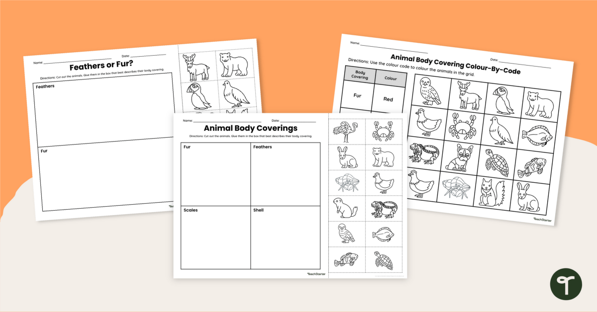Animals With Scales, Fur, Shells and Feathers Worksheet Pack teaching resource