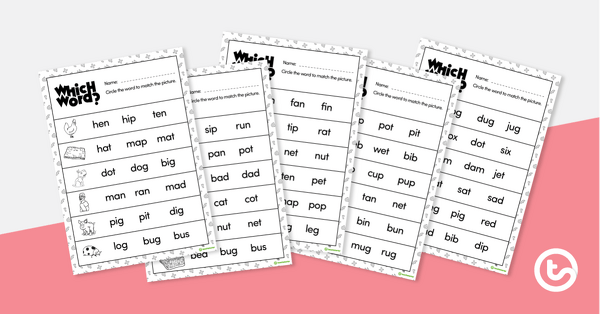 Image of Which Word? CVC Decoding Worksheets