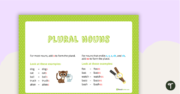 Plural Noun Posters teaching resource