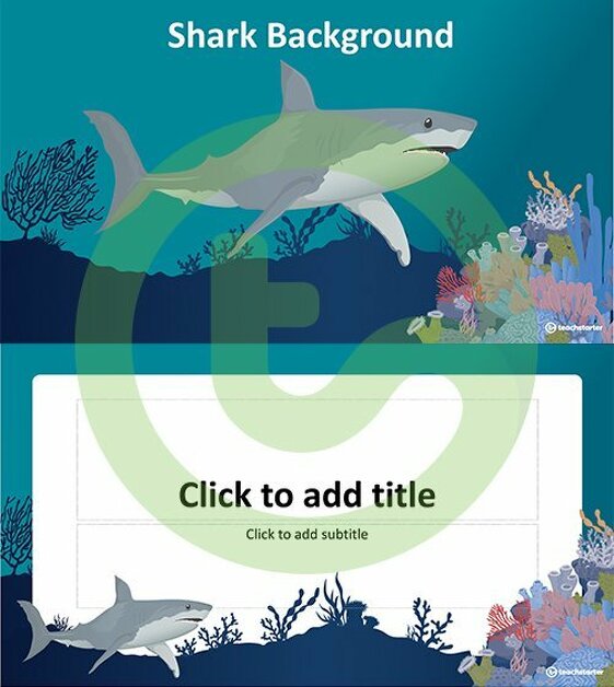 Shark – PowerPoint Template teaching resource