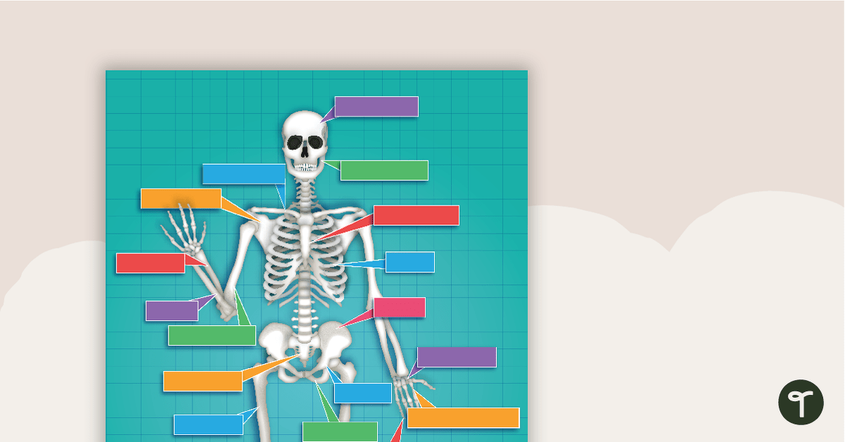 预览图像的人体骨骼系统游戏——教学资源