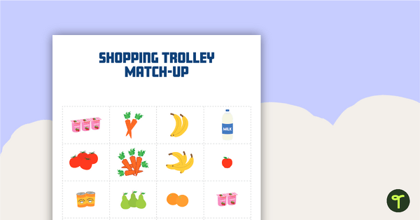 Shopping Trolley Match-Up Activity teaching resource