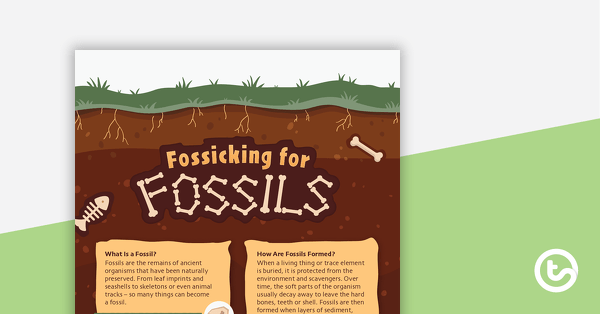 Go to Fossicking for Fossils – Worksheet teaching resource