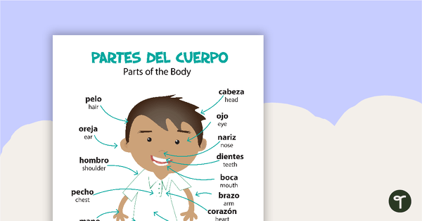 Go to Parts of the Body - Spanish Language Poster teaching resource