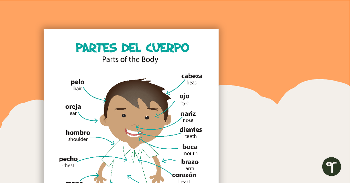 Parts of the Body - Spanish Language Poster teaching resource
