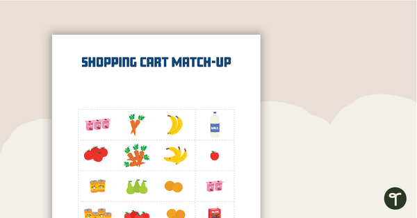 Shopping Cart Matchup Activity teaching resource