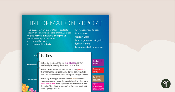 Information Report Text Type Poster With Annotations teaching resource