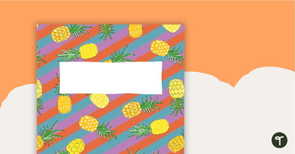 Pineapples - Diary Cover teaching resource