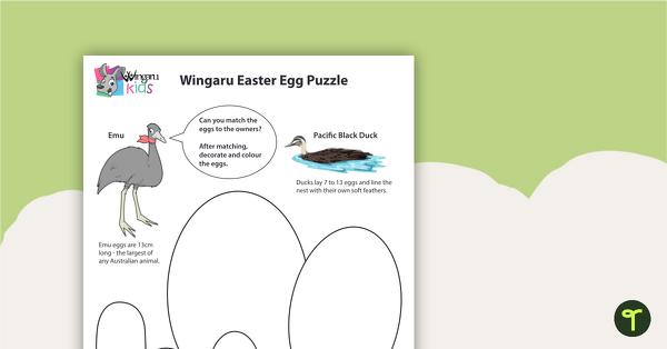 Wingaru Easter Egg Match-up Puzzle teaching resource