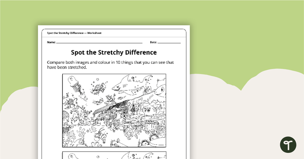 Spot the Stretchy Difference – Worksheet teaching resource