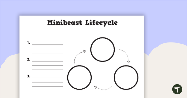 Minibeast Life Cycle - Blank Templates teaching resource