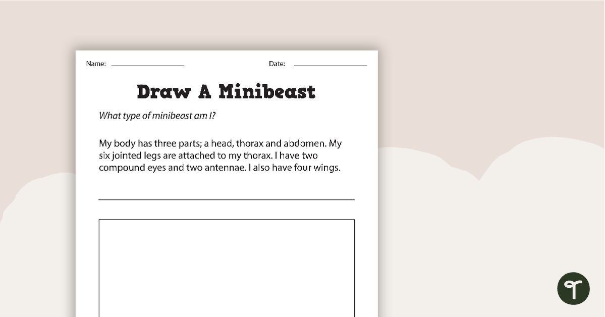 Draw a Minibeast - Activity teaching resource