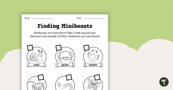 Finding Minibeasts - Activity teaching resource