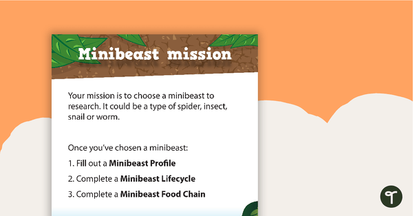 Minibeast Mission - Research Task teaching resource