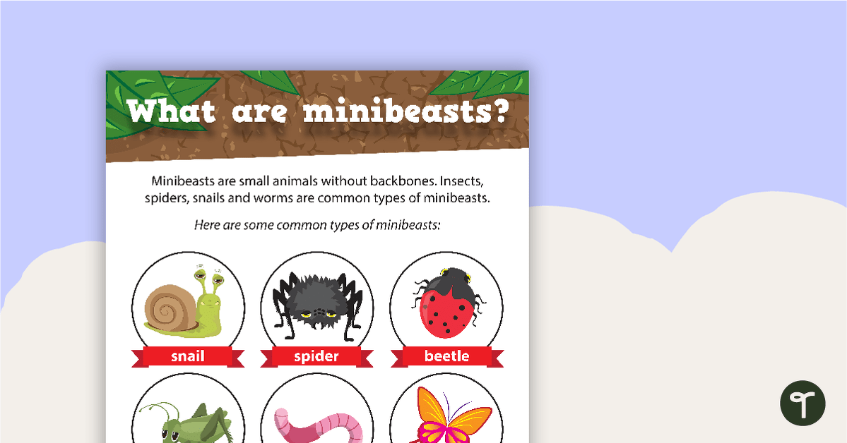 What are Minibeasts? - Poster teaching resource
