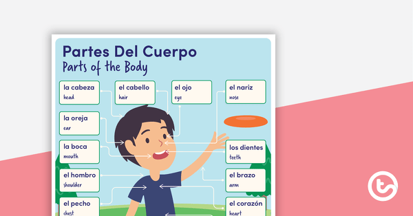 The Body - Spanish Language Poster teaching resource