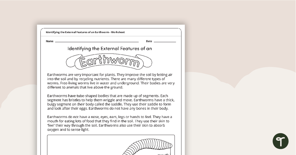 Identifying the External Features of an Earthworm Worksheet teaching resource