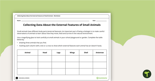 Go to Collecting Data About the External Features of Small Animals teaching resource