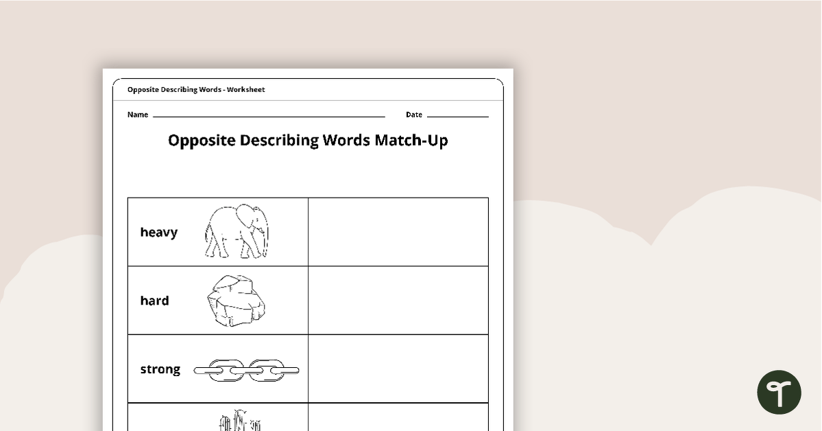 Opposite Describing Words Worksheet teaching resource