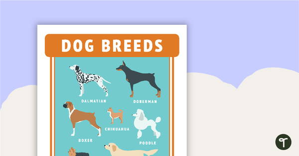 Go to Dog Breeds Poster - Vet's Surgery teaching resource
