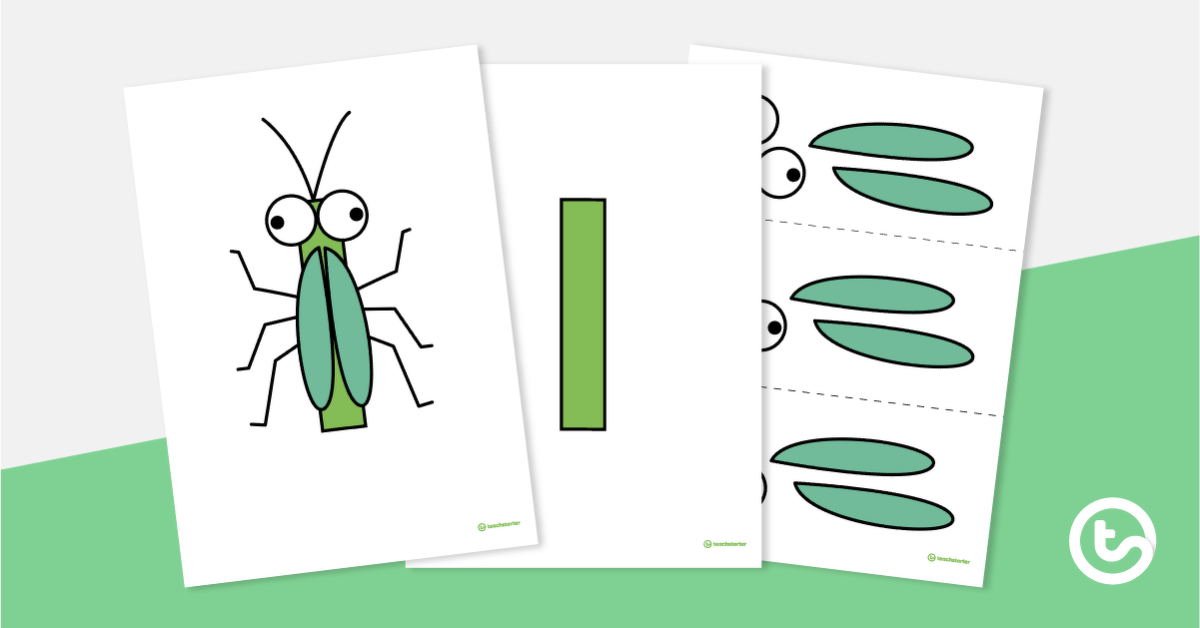 Letter Craft Activity - 'I' is For Insect (Version 2) teaching resource