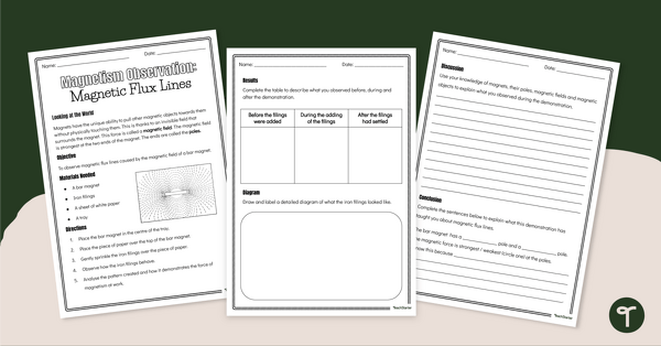 Preview image for Observing Magnetic Flux Lines Worksheet - teaching resource
