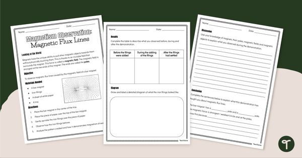 Preview image for Observing Magnetic Flux Lines Worksheet - teaching resource