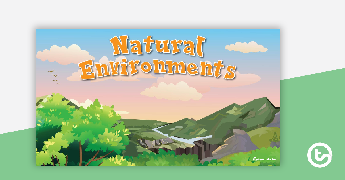 Introduction to Environments Poster Set teaching resource