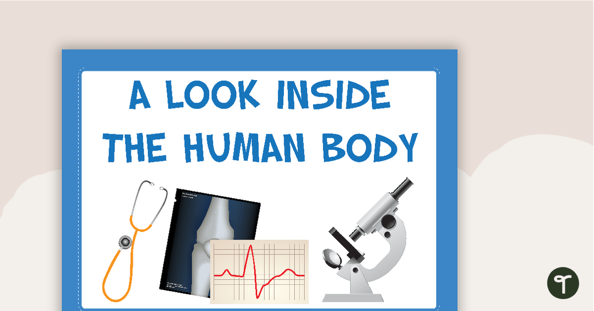 Look Inside the Human Body - Word Wall teaching resource