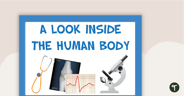 Go to Look Inside the Human Body - Word Wall teaching resource