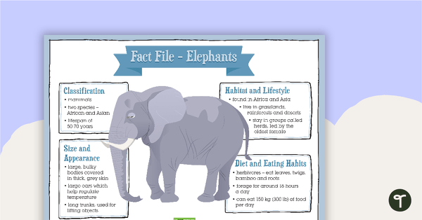 Go to Informative Texts Writing Task - Elephants teaching resource